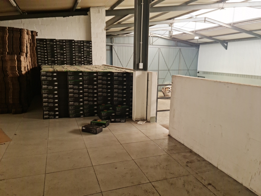 To Let commercial Property for Rent in George Park Western Cape